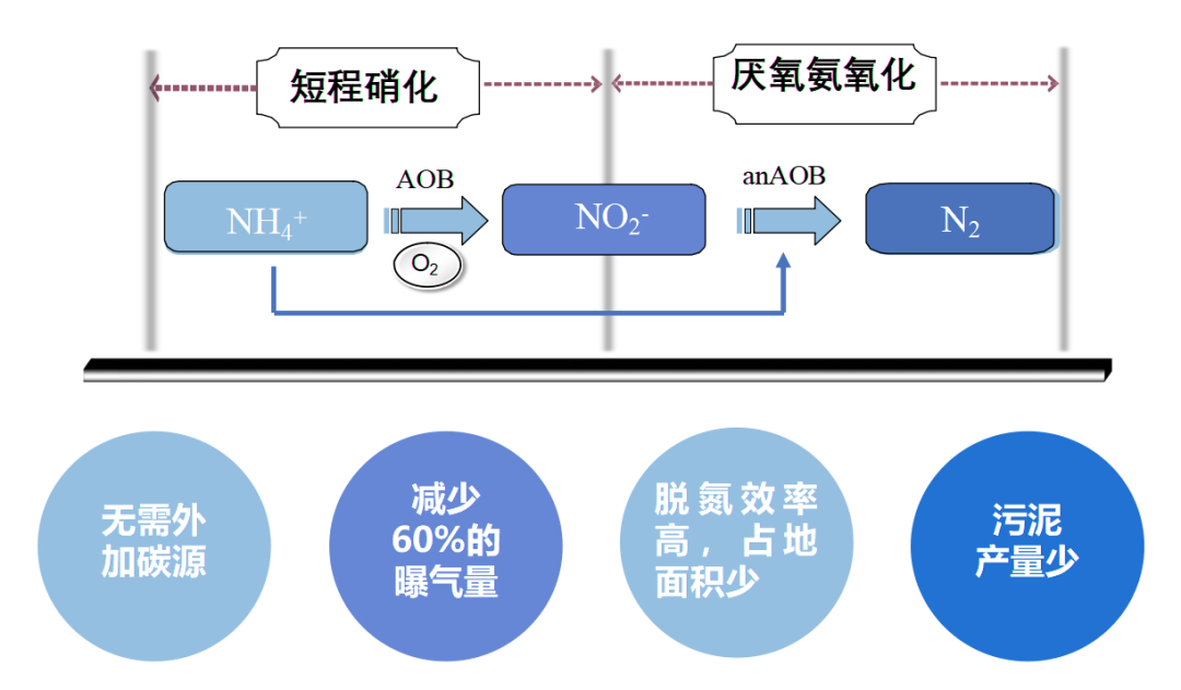 首页- k8凯发集团中国官方网站