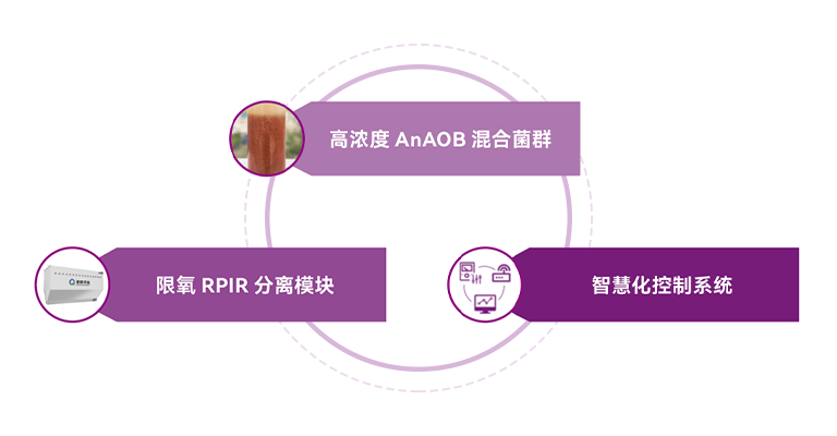 首页- k8凯发集团中国官方网站